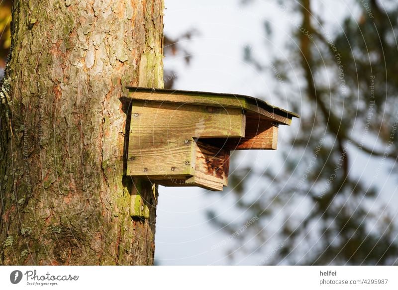 Vogel Haus an einen Baum genagelt als Nisthilfe für Vögel und Fledermäuse Vogelhaus Garten Natur Umwelt Wildtier Park Ast Frühlingsgefühle natürlich nest