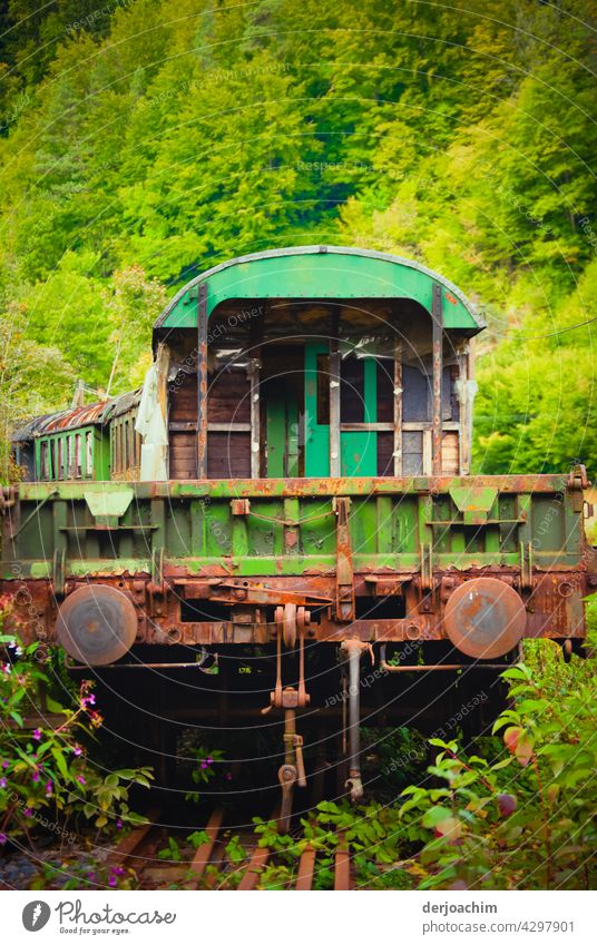 Alter rostiger Eisenbahn Zug steht  im Grünen,  ausgemustert und abgestellt. Gleise Außenaufnahme Verkehr zug fahren Ferien & Urlaub & Reisen Bahn