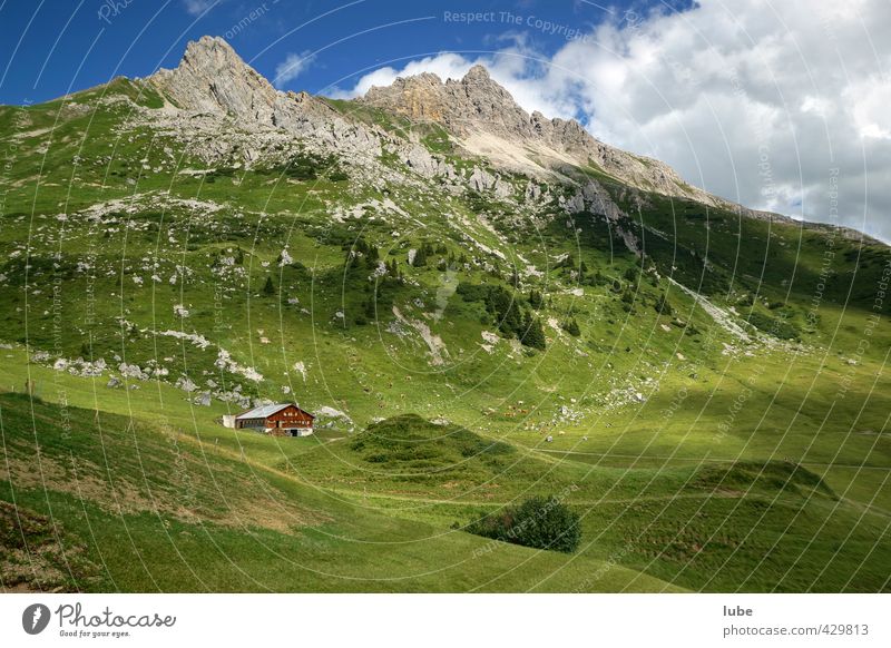 Hütte im Grünen Tourismus Sommer Berge u. Gebirge wandern Umwelt Natur Landschaft grün bregenzerwald Bundesland Vorarlberg alphütte alm Berghütte Felsen