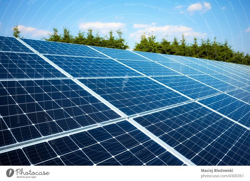 Solarmodule in einer ländlichen Gegend an einem sonnigen Tag, selektiver Fokus. Sonnenkollektor Panel solar Öko Natur Energie Photovoltaik alternativ
