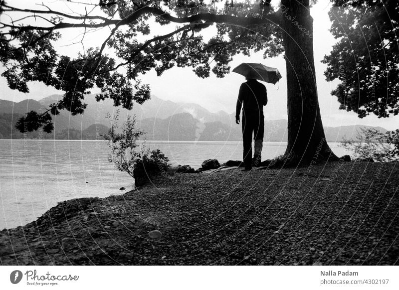 Person mit Regenschirm am See in den Bergen analog Analogfoto sw Schwarzweißfoto schwarzweiß Außenaufnahme Wasser Baum Natur Einsamkeit allein nass grau