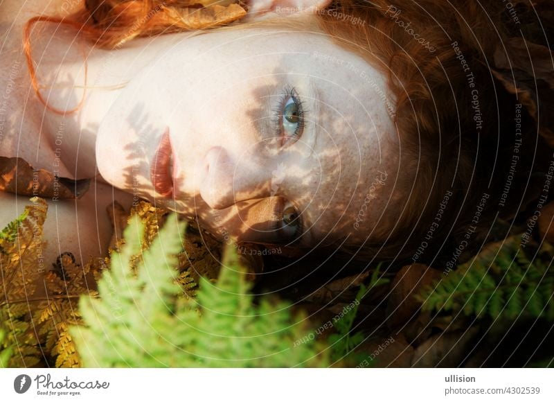 Porträt einer schönen natürlichen sexy rothaarigen Frau auf dem Waldboden mit dem Schatten eines Farnblattes auf ihrem Gesicht Blätter Prinzessin Garten Elfe
