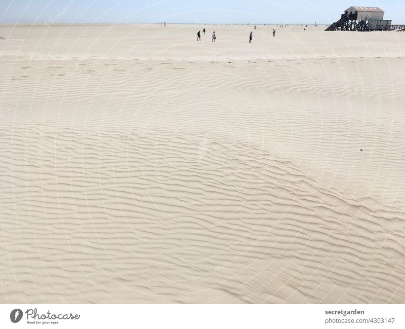 Manchmal ist nicht soviel Luft da, wie man schreien möchte. Strand Düne Stranddüne Sand minimalistisch weite Ferne Himmel Urlaub Ferien & Urlaub & Reisen Meer