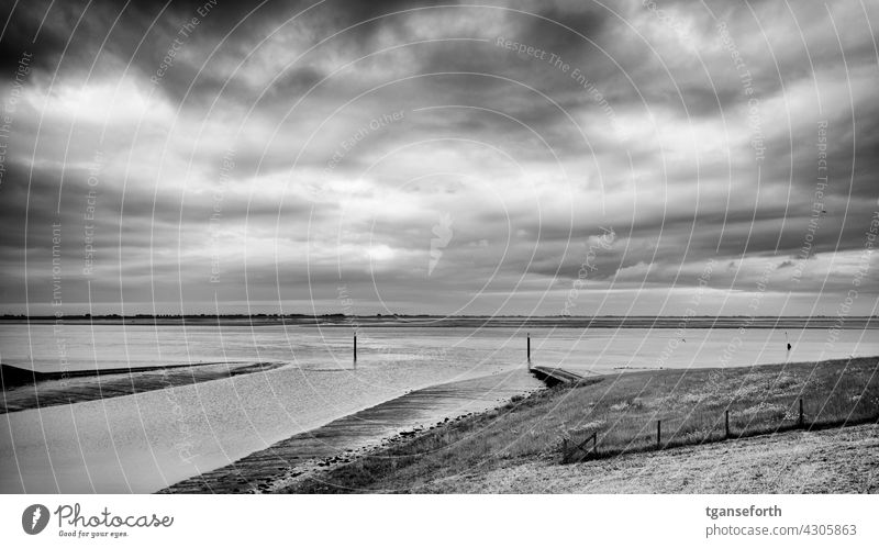 Siel in Emden Dollart Ems Ostfriesland Landschaft Außenaufnahme Natur Wasser Küste Meer Menschenleer Niedrigwasser Ebbe Deich bewölkt Himmel Horizont Gezeiten