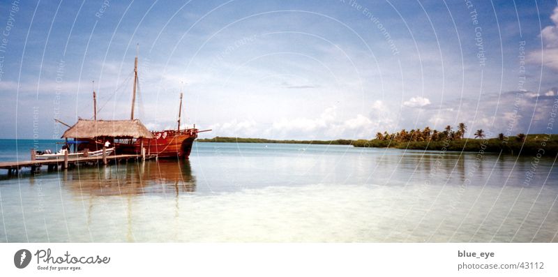 Bacardi Feeling in Mexico Meer Wasserfahrzeug Ferien & Urlaub & Reisen Kuba Idylle Mexiko