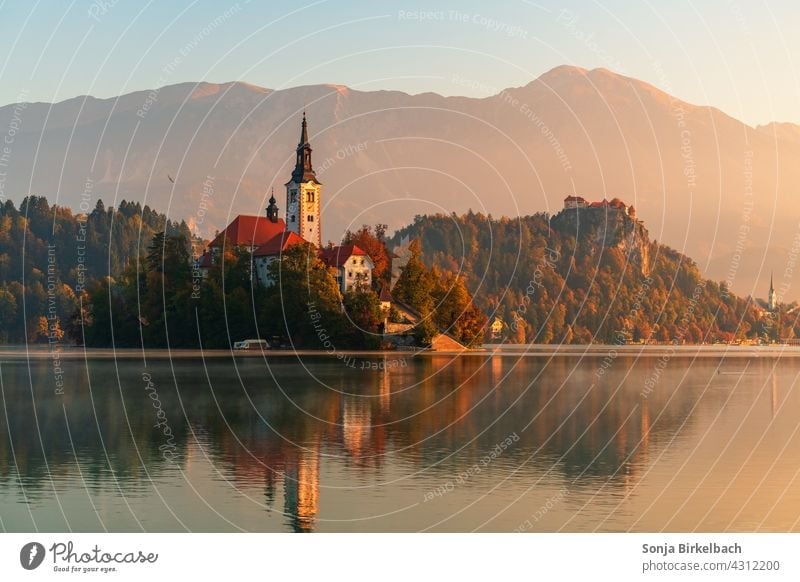 Bleder See in Slowenien mit der berühmten Insel und dem Schloss im Hintergrund lake bled Herbst Wahrzeichen antik Landschaft schön Burg oder Schloss Kirche