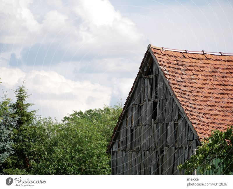 Alte rustikale Holzfassade einer Scheune in einem kleinen Dorf Fassade alt zerfallen Haus ländlich Wand Bauernhof Bäume Gebäude Außenaufnahme Dach eingebettet