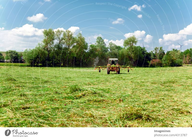 Landwirtschaft - Wiese mähen. Roter Traktor, der eine grüne Weide mäht. Bauer in einem modernen Traktor an einem sonnigen Tag. landwirtschaftliches Feld