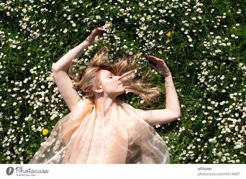 blonde Frau, die wie eine Fee im Garten in einem Feld voller Gänseblümchen liegt. Margeriten Freiheit Frauen Harmonie Urlaub träumen Hochzeit Blume Behaarung