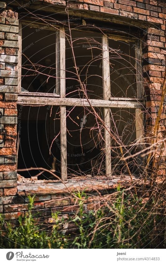 Lost Land Love | Zerbrochenes Fenster in einem zerbrochenen Haus zerbrechlich Fensterscheibe lost places lostplace verlassen kaputt Vergänglichkeit alt