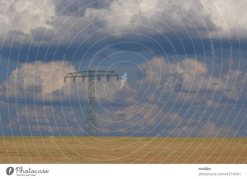 Stromleitung über einem sommerlichen Getreidefeld vor wolkigem Himmel Strommast Energie Elektrizität Hochspannungsleitung Energiewirtschaft Umwelt Energiekrise