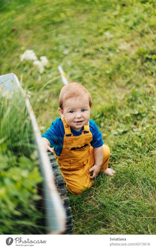 Kind sitzt auf dem Gras neben einem Gartenwagen und lächelt Sommer Kleinkind bezaubernd Schubkarre Baby sitzen klein Karre Sommerzeit im Freien auf Gras sitzend