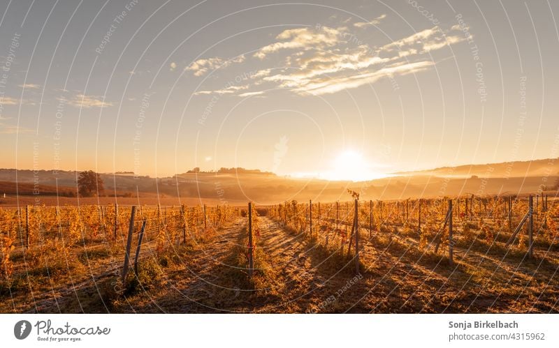 Herbstlandschaft im Morgennebel in der Steiermark, Österreich steiermark herbst herbstlich morgens früh morgennebel landschaftsidyll morgenrot morgensonne