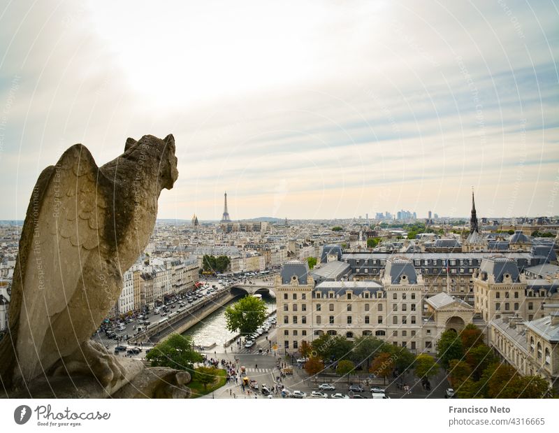 Blick von der Kathedrale Notre Dame Notre-Dame Paris Wasserspeier Frankreich Architektur Außenaufnahme Religion & Glaube Himmel Kirche historisch alt Tourismus