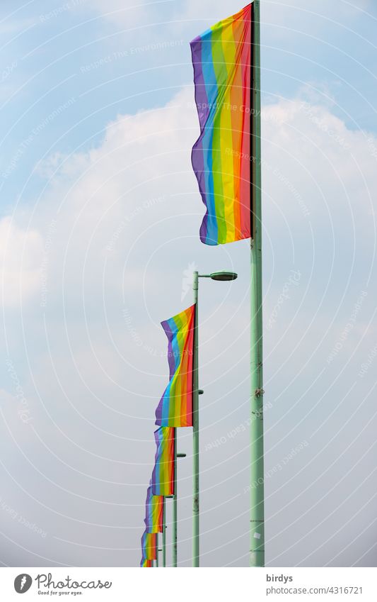Viele Regenbogenfahnen in einer Reihe. Symbol für Gendergerechtigkeit, queere Menschen, Lesben und Schwule,  Vielfalt und Respekt in einer reihe Homosexualität