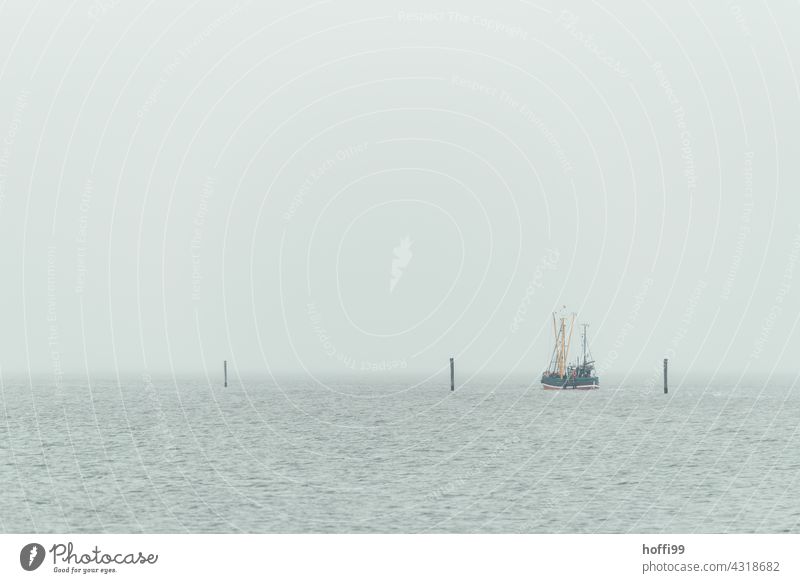 ein Fischerboot läuft bei diesigem Wetter aus dem Hafen aus Bootsfahrt Angeln Hochseefischer Nebel Nebelschleier diesiges Wetter Küste Schifffahrt Meer Wellen