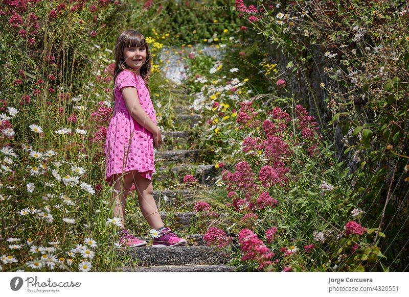 Mädchen in einem rosa Kleid, umgeben von Blumen in der Natur. Der Junge steht auf einer Treppe. geblümt Kleinkind Kind Freude Unschuld fluffig Wiese spielerisch