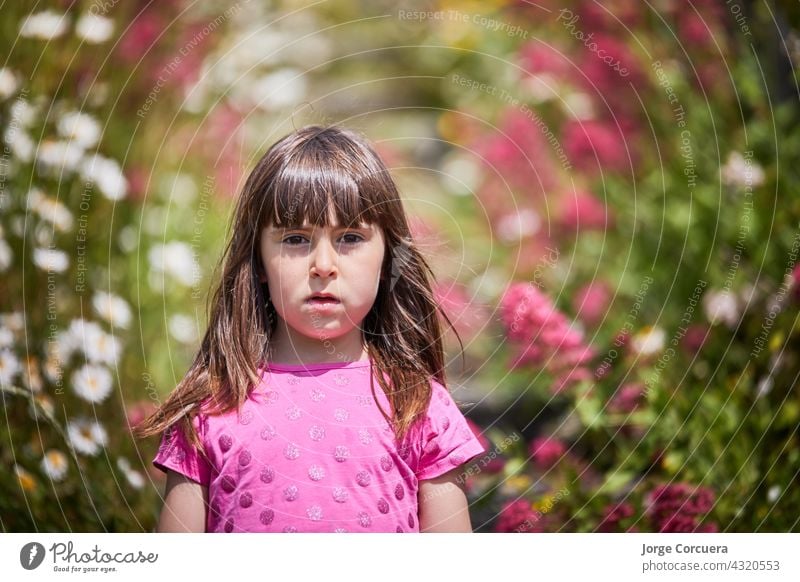 Mädchen in einem rosa Kleid, umgeben von Blumen in der Natur. Der Junge steht auf einer Treppe. geblümt Kleinkind Kind Freude Unschuld fluffig Wiese spielerisch