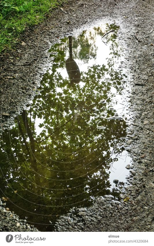 In einer Pfütze auf einem Feldweg spiegeln sich die Baumkrone eines Ahornbaumes und ein rundes Verkehrsschild Wasser Spiegelung Weg nass Regenwetter grün