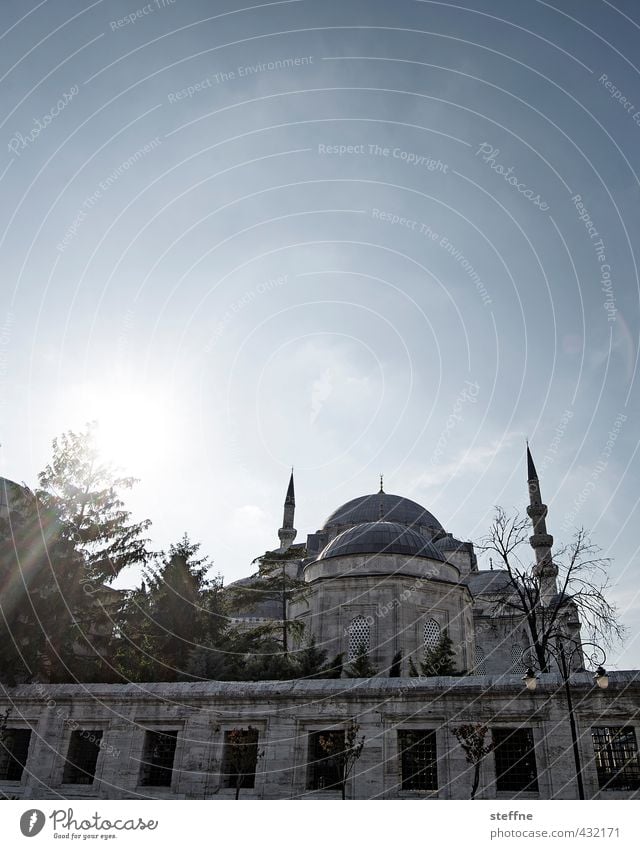 Göttliche Erleuchtung Sonne Sonnenlicht Schönes Wetter ästhetisch Moschee Istanbul Islam Religion & Glaube Gott Erkenntnis Süleymaniye Moschee Minarett Frieden