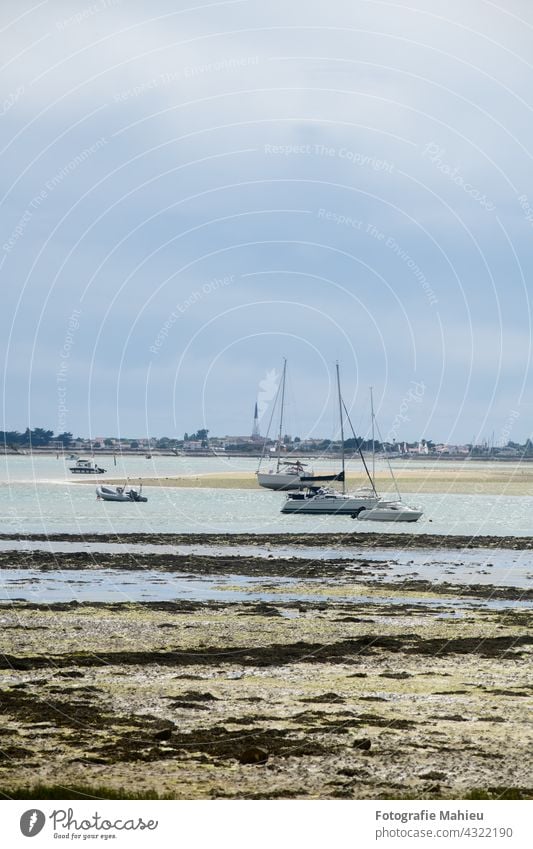 Blick vom Strand von la patache auf Ausflugsboote bei Ebbe mit Ars-en-Ré im Hintergrund Charente-Maritime Frankreich Ile de re La patache Nouvelle-Aquitaine