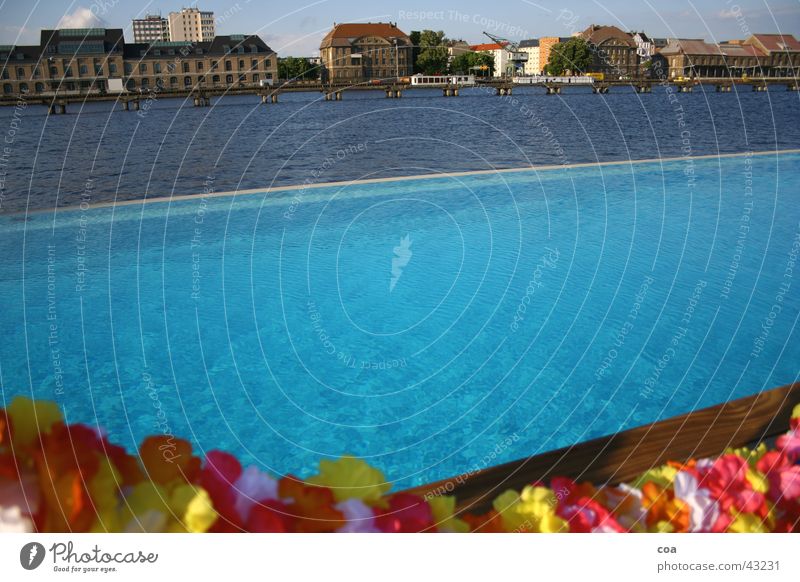 sommer in berlin Chlor Hawaii Spree Schwimmbad Sommer Blume Haus Gebäude hell-blau Elektrizität Europa Berlin Wasser Becken Fluss