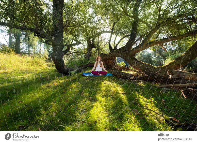 Junge rothaarige Frau macht Yoga-Übungen in der Natur in Sportkleidung in der Sonne im Wald sexy Fitness Wellness Mädchen jung Lächeln freudig Erwachsene schön