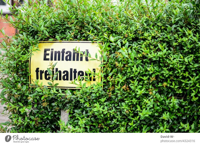 Einfahrt freihalten - ein durch Pflanzen verdecktes Schild einfahrt freihalten Verkehrsschild Achtung Hinweisschild Naturwuchs Hecke Warnschild Ausfahrt