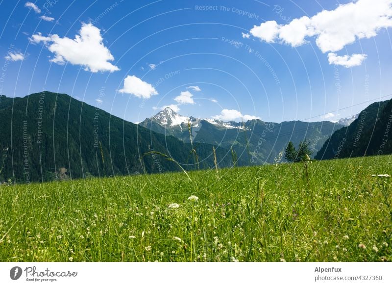 Zillertal Berge u. Gebirge Zillertaler Alpen Ferien & Urlaub & Reisen Panorama (Aussicht) Landschaft Himmel Natur Gipfel wandern Farbfoto Ausflug Tag