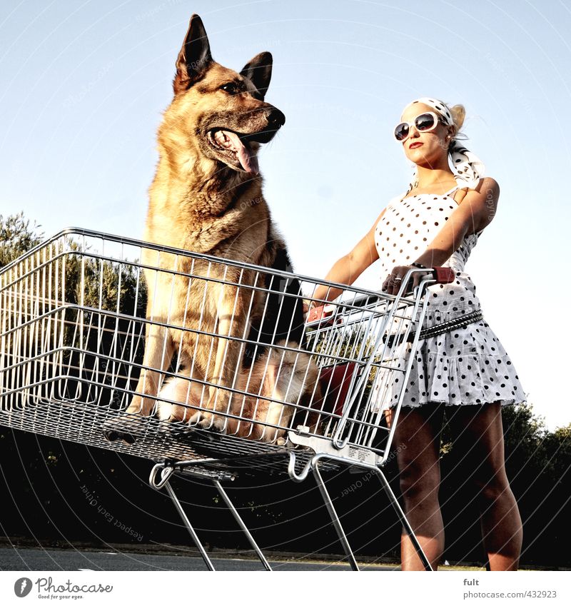 Einkaufen Mensch feminin Körper 1 18-30 Jahre Jugendliche Erwachsene Tier Hund Einkaufswagen Schäferhund Frau Punkt Farbfoto Außenaufnahme Experiment Tag