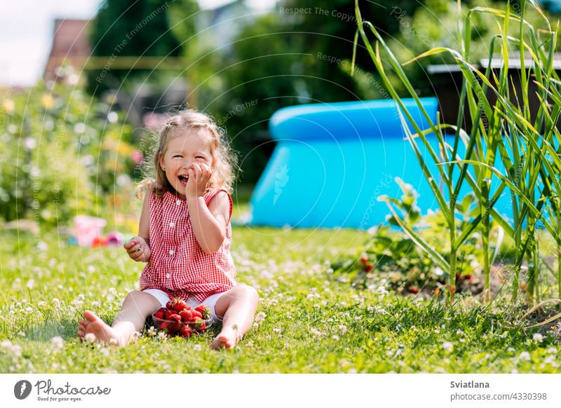 Ein charmantes kleines Mädchen sitzt auf dem Rasen im Garten, isst Erdbeeren und lacht. Sommer Hintergrund, ein Platz für Text Baby Essen Wiese Kleinkind