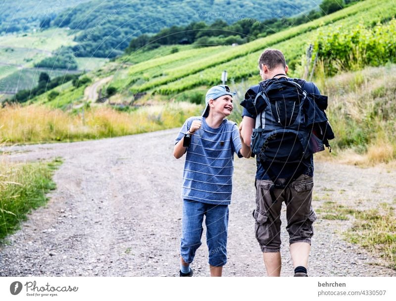 moselzeit idyllisch Idylle Pflanze Landschaft Natur Sommer Wege & Pfade Wanderer Zusammensein gemeinsam Vater und Sohn Kind Spaß haben Familie & Verwandtschaft