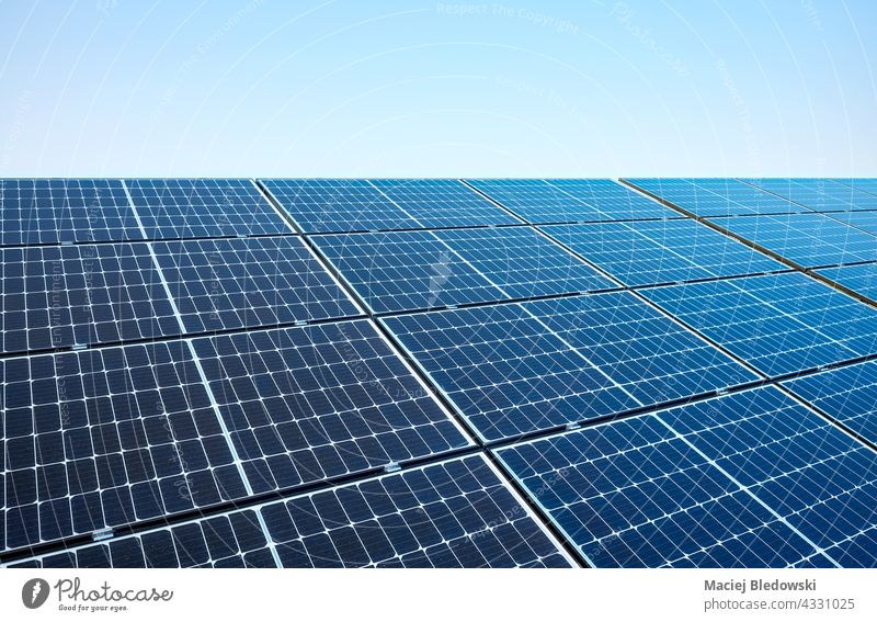 Bild von Solarmodulen an einem sonnigen Tag, selektiver Fokus. Sonnenkollektor Panel solar Öko Natur Technik & Technologie Hintergrund blau Energie Photovoltaik