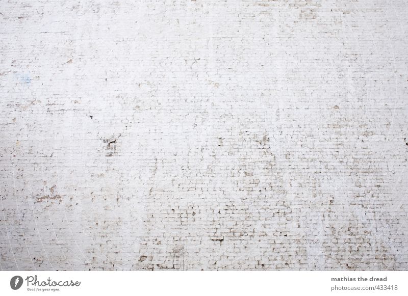 WAND Mauer Wand Fassade trist minimalistisch feuerschutzwand Backstein weiß gestrichen ruhig steril bewegungslos Farbfoto Gedeckte Farben Außenaufnahme