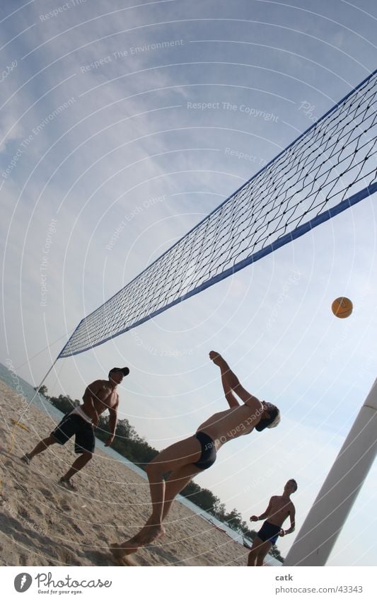 Beach Volleyball Strand Sport Sportmannschaft Ball Volleyballnetz maskulin 3 Mensch 18-30 Jahre Jugendliche Erwachsene Sand Schönes Wetter Küste Port Dickson