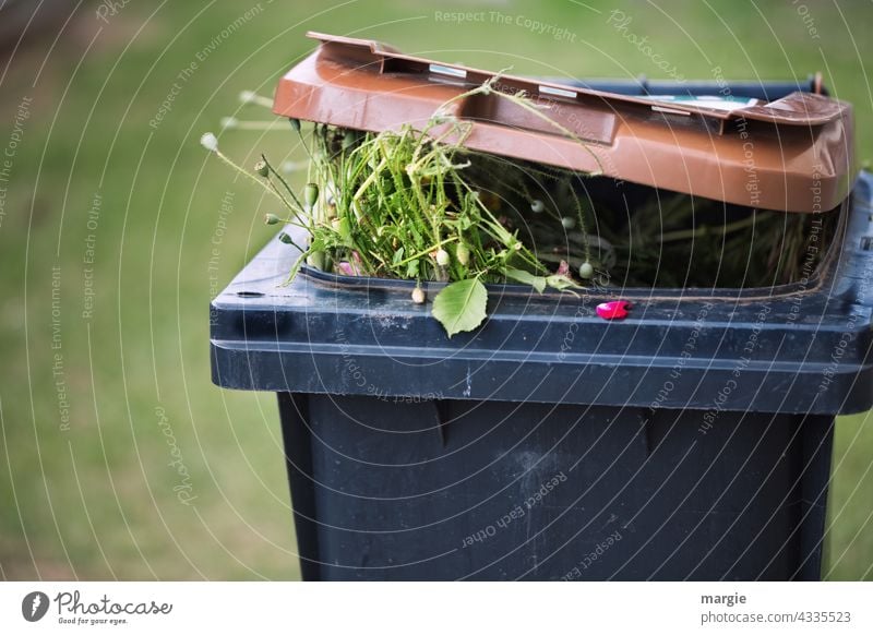 Mo(h)ntag vorbei! Mohn für die Tonne! Blume Sommer Klatschmohn Natur Müll Müllbehälter Biomüll Biomülltonne Blütenblatt grün entsorgen Müllabfuhr Mülltonne