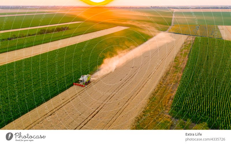 Blick von oben auf Mähdrescher, Erntemaschine, erntereifes Getreide bei Sonnenuntergang landwirtschaftlich Ackerbau Müsli Land Landschaft kultiviert