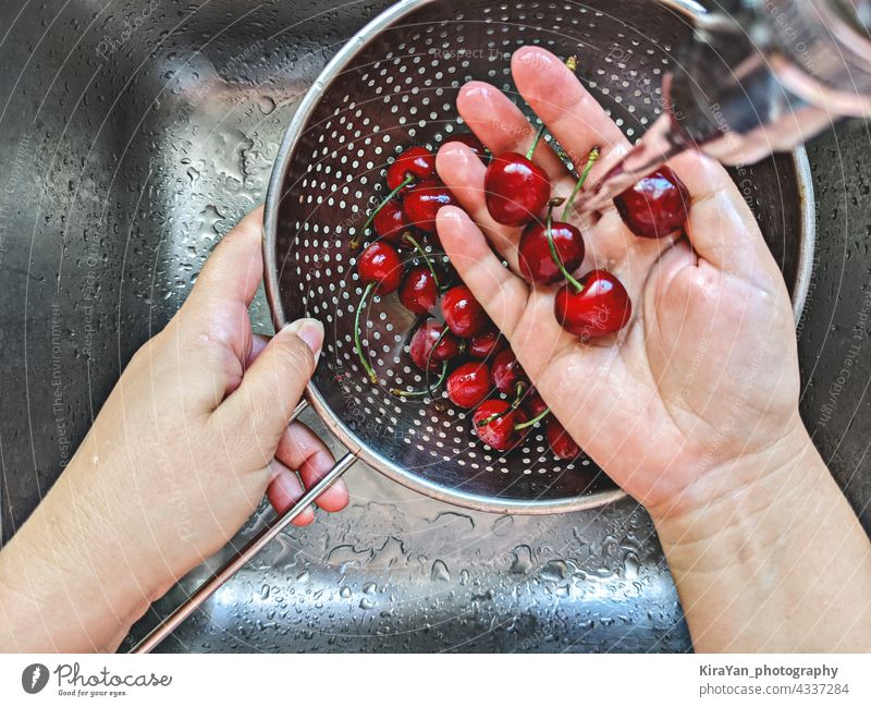 Reife frische Kirschen Beere in Stahlsieb wird von Hand unter Leitungswasser im Waschbecken gewaschen Beeren Frucht Waschen Sommer Essen zubereiten Draufsicht