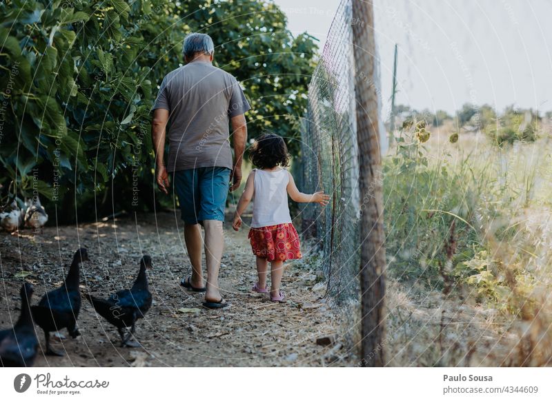 Kind und Großvater gehen mit Enten spazieren Rückansicht Großeltern Kaukasier Familie & Verwandtschaft Bauernhof authentisch Mann Erwachsene Enkel Zusammensein