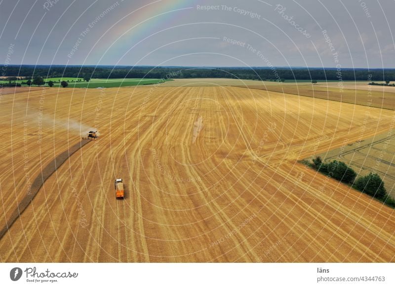 Ernteeinsatz auf Getreidefeld Vogelperspektive Feld Außenaufnahme Ackerbau Sommer UAV-Ansicht Unterteilung Regenbogen Mähdrescher Landwirtschaft Drohnenansicht