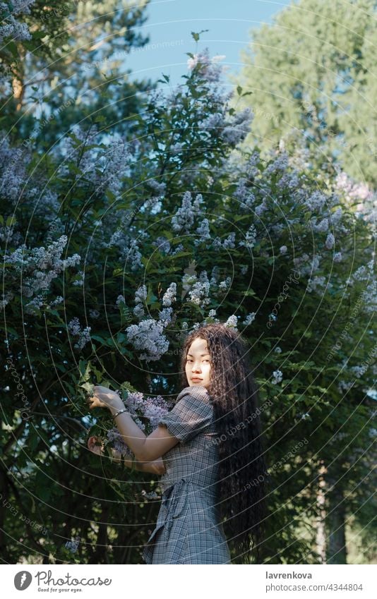Schöne asiatische Frau stehend vor Blüte Bäume Mädchen Natur schön Frühling Porträt Person jung Park Sommer Blume Sonnenlicht romantisch Blumen Aroma Garten