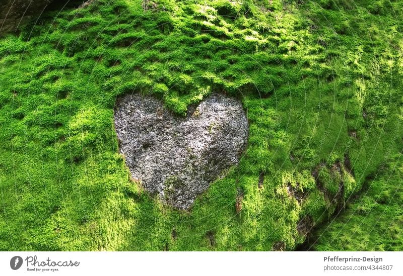 Moosfelsen mit einem Herzstruktur aus Granit Granitherz herzförmig herz aus stein grün