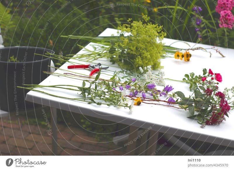 Blumenstrauß aus dem Garten Stauden Vorbereitung einzelne Blumen auf dem Tisch liegend Stiele entblättern Frauenmantel Sonnenbraut Schafgabe Montbretien Phlox