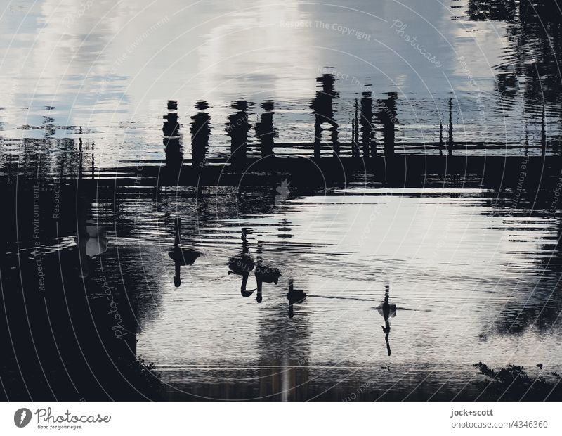 Schwanensee im Karpfenteich Teich abstrakt Illusion Phantasie Reflexion & Spiegelung Silhouette Brücke Surrealismus Schönes Wetter Wolken Wasseroberfläche
