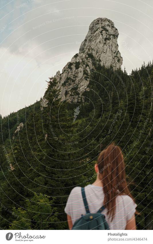Junge Frau schaut zu einem Fels Alpen Pferdeschwanz Rucksack Wald Bäume grün grau braun Wolken Chiemgau Berg Natur Landschaft wandern Tourismus Berge u. Gebirge