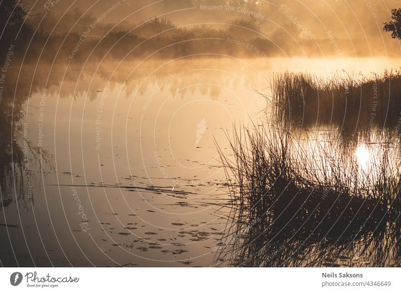 Sonne geht im kalten Oktobermorgen auf. Nebel über den Feldern und dem Fluss in Lettland. Schilf und entferntes Ufer spiegeln sich in der glatten Wasseroberfläche. Ruhiger Morgen ohne Wind. Wiese, Büsche und Wasser leuchten golden