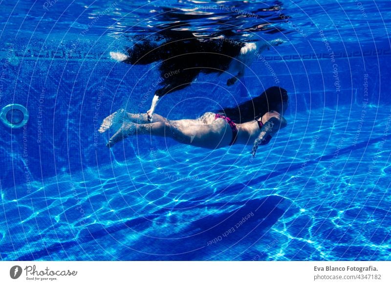 kaukasische Frau und Border Collie Hund schwimmen im Pool. Unterwasser-Ansicht. Sommerzeit und Urlaub Konzept Schwimmbad Tauchen unter Wasser Zusammensein Spaß