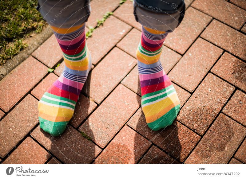 Vielfalt | mit bunten Socken an den Füßen durch die Welt Strümpfe geringelt Ringelsocken Mode trend Mensch Mann stehen mehrfarbig farbenfroh Farbe Farbigkeit