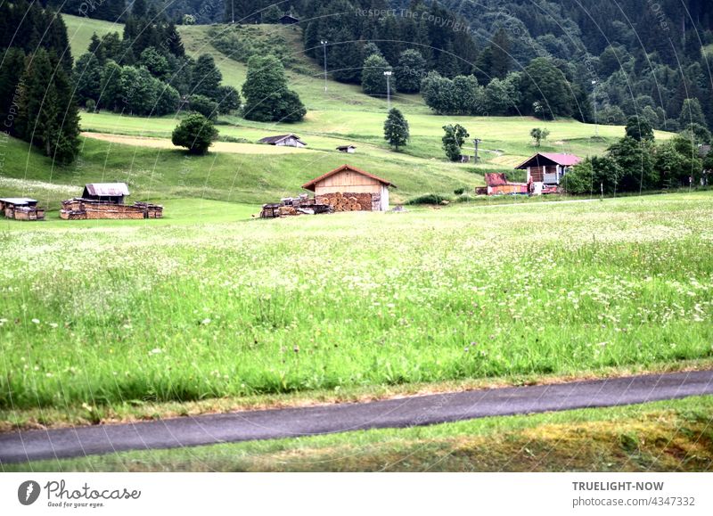 Ein paar Holzhütten und viele Büsche und Bäume stehen herum auf einer hügeligen grünen Wiesenlandschaft im Naturpark Ammergauer Alpen in Oberbayern und ein Stück Fahrradweg ist auch zu sehen