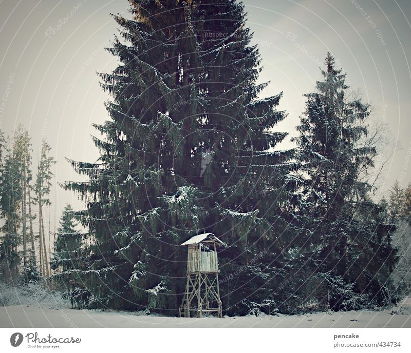 spielzeugland Umwelt Natur Landschaft Winter Baum Wald Zeichen Einsamkeit Idylle Nostalgie Hochsitz Tanne hoch Spielzeug Schneefall Jäger Wildtier Jagd Farbfoto